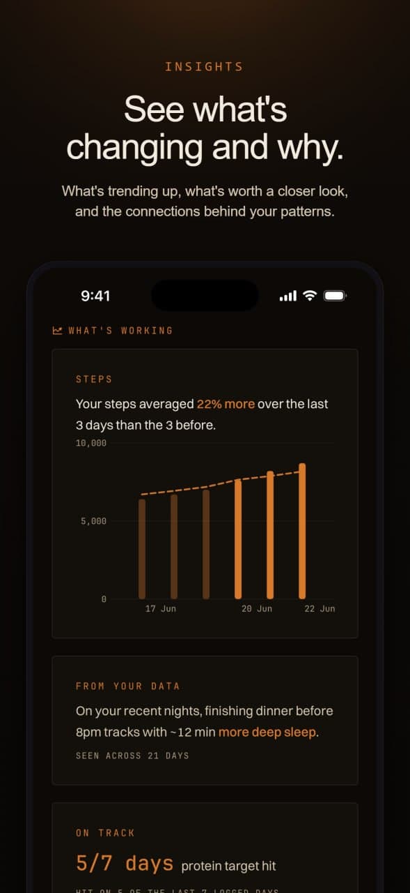 Aveil preview showing insight cards with trends and data connections.